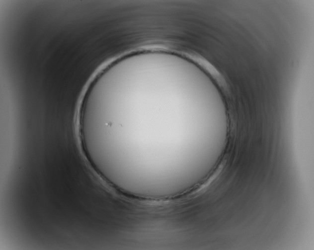 X0000099511240200805151004