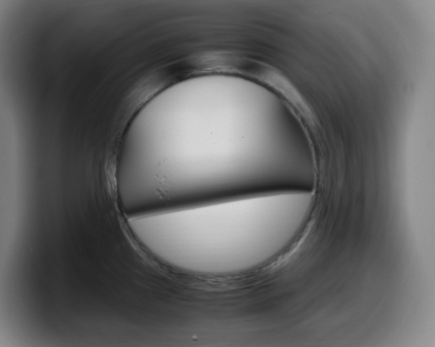 X0000099511241200805151004