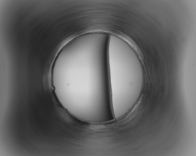 X0000099511242200805151004