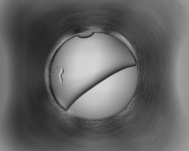 X0000099511243200805151004