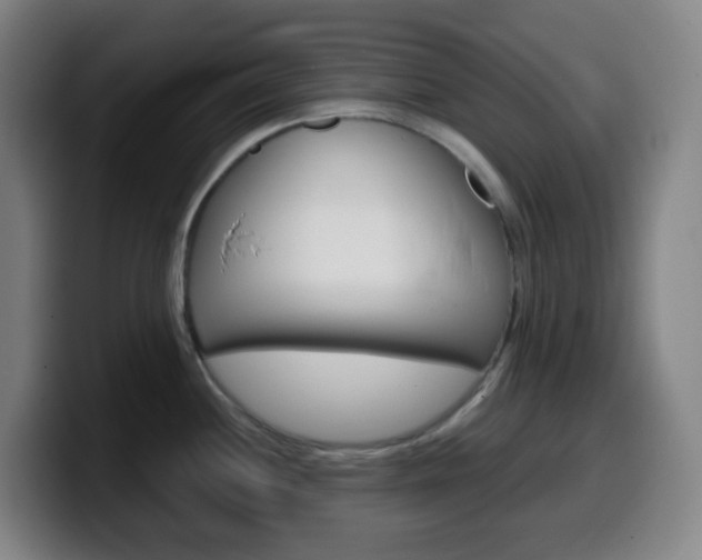 X0000099511244200805151004