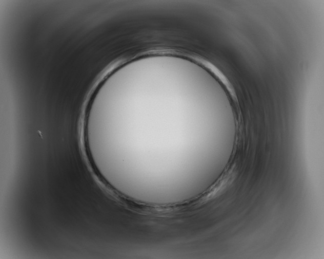 X0000099511245200805151004