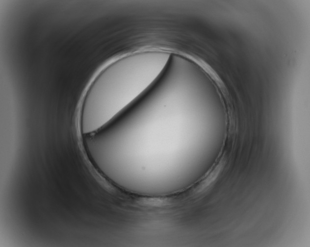 X0000099511246200805151004