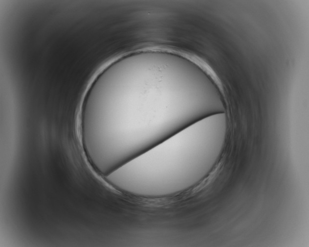 X0000099511247200805151004