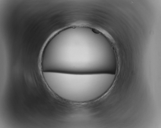 X0000099511248200805151004