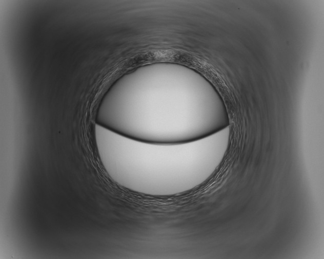 X0000099511249200805151003