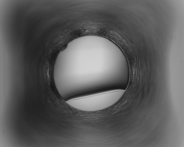 X0000099511250200805151003