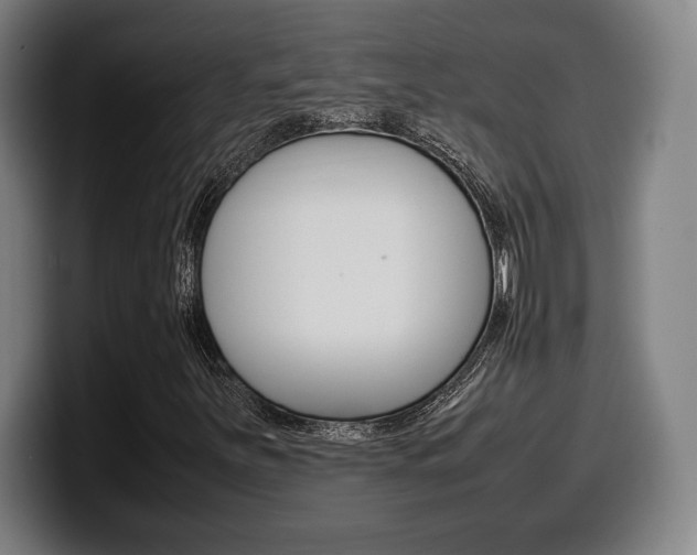 X0000099511251200805151003