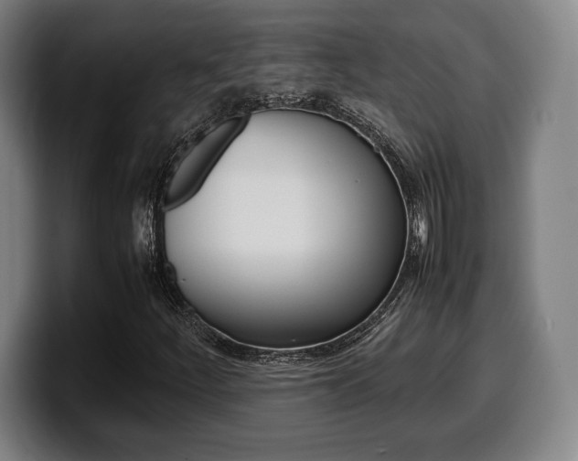 X0000099511252200805151003