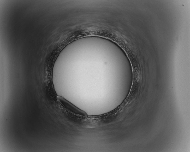 X0000099511253200805151003