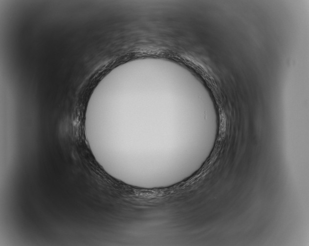 X0000099511254200805151003