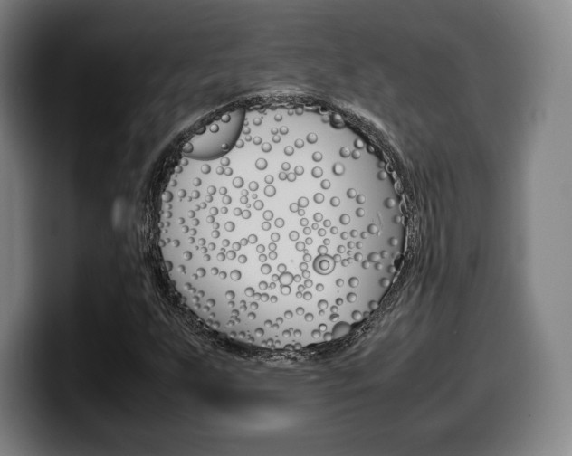 X0000099511255200805151003