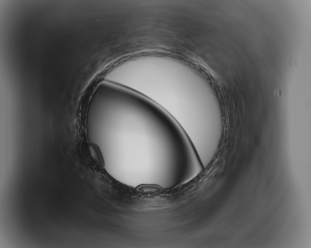X0000099511256200805151003