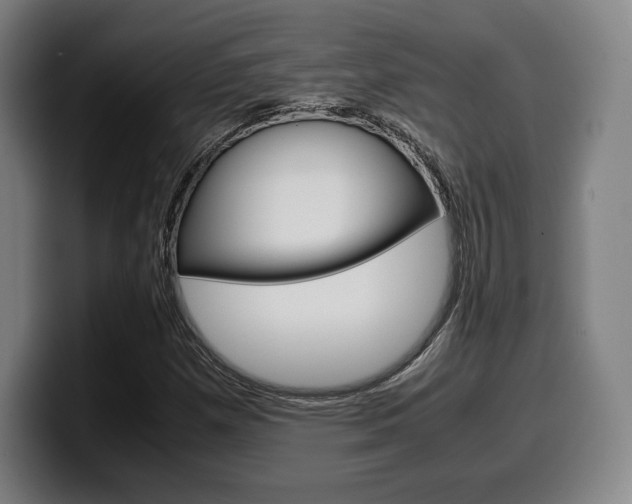 X0000099511257200805151003