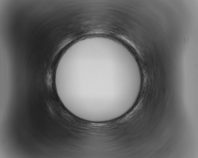 X0000099511258200805151003