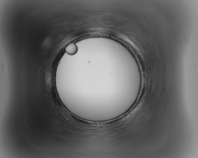 X0000099511259200805151003