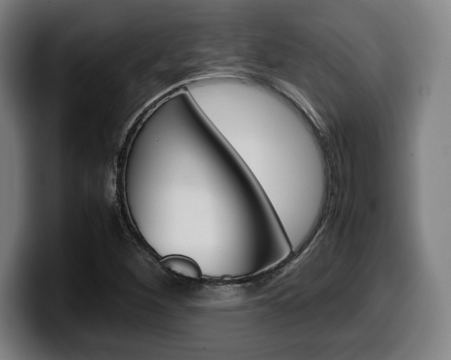 X0000099511260200805151003