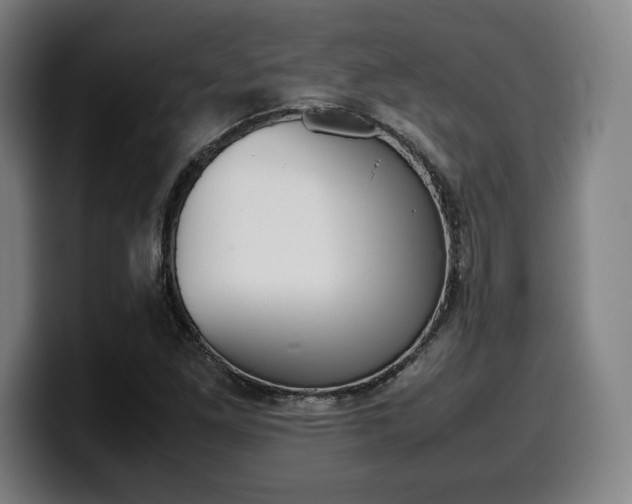 X0000099511261200805151003
