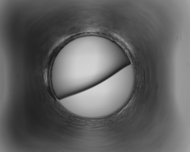 X0000099511262200805151003
