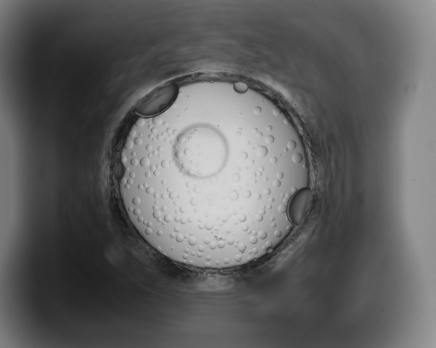 X0000099511263200805151003