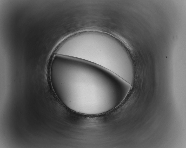 X0000099511264200805151003