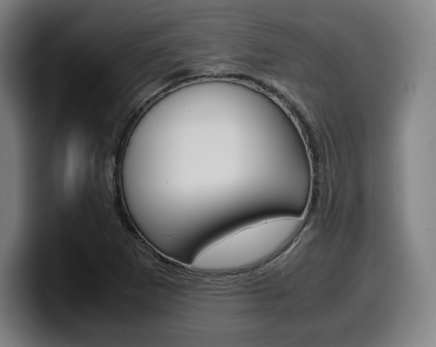 X0000099511265200805151003
