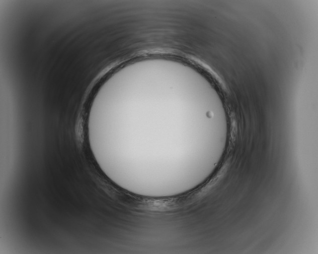 X0000099511266200805151003
