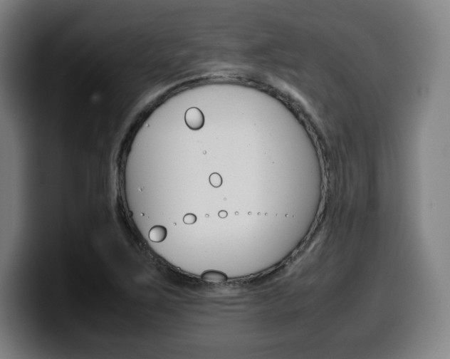 X0000099511267200805151003