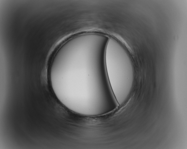 X0000099511270200805151003