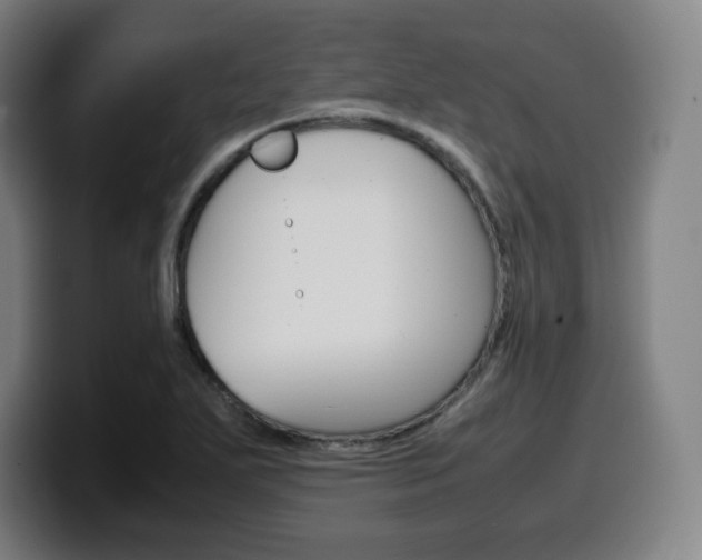 X0000099511271200805151003