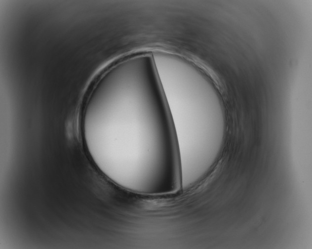 X0000099511272200805151003