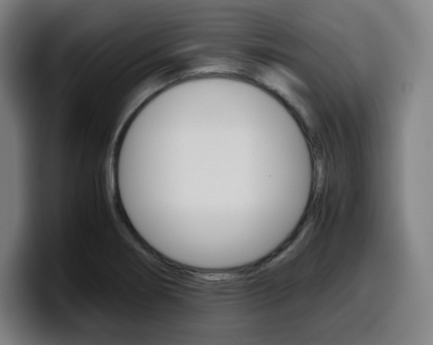 X0000099511274200805151003