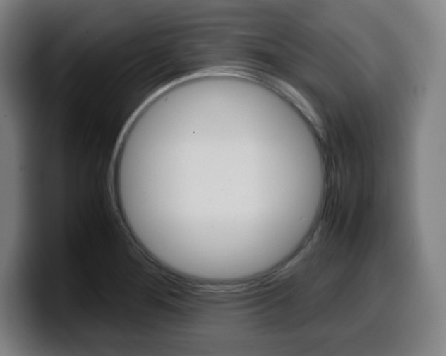 X0000099511276200805151003