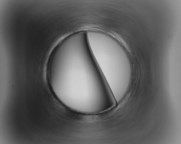 X0000099511277200805151003