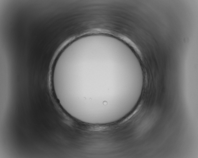 X0000099511278200805151003