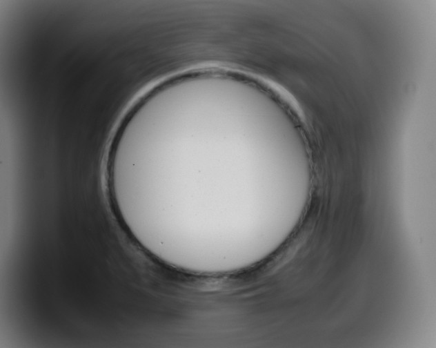 X0000099511279200805151003