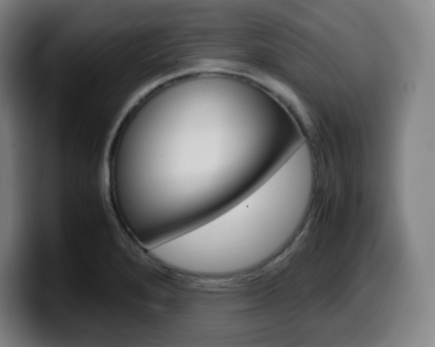 X0000099511280200805151003