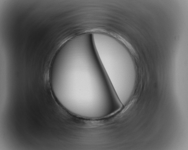 X0000099511281200805151003