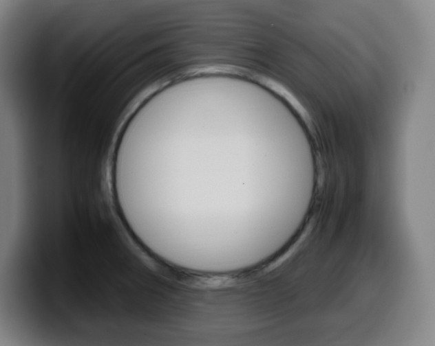 X0000099511282200805151003