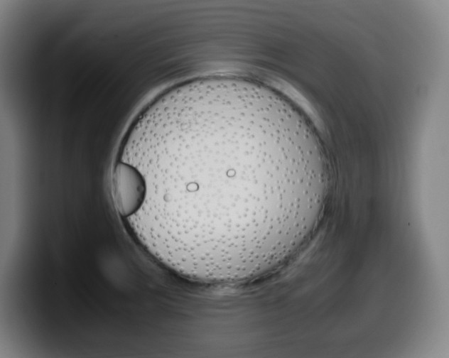 X0000099511283200805151003