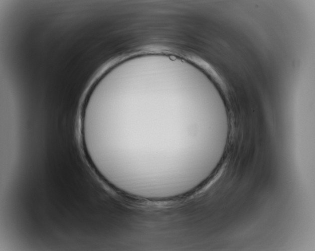 X0000099511286200805151003