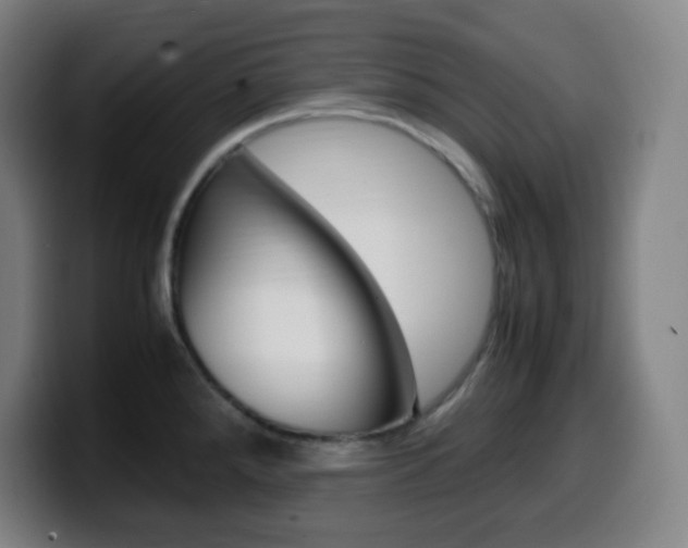 X0000099511288200805151003