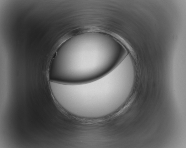 X0000099511289200805151003