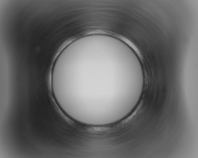 X0000099511290200805151003