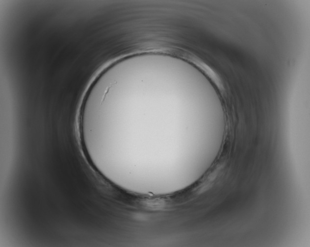 X0000099511291200805151003
