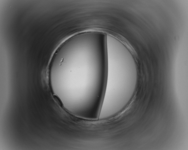 X0000099511292200805151003
