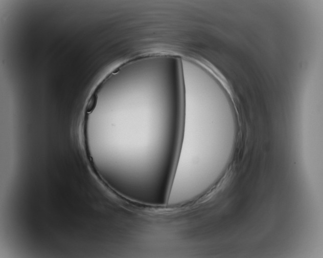 X0000099511293200805151003