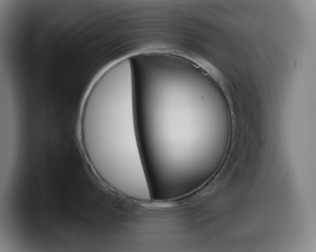 X0000099511296200805151003