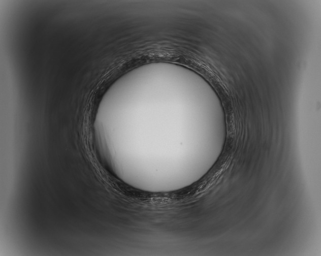 X0000099511297200805151002