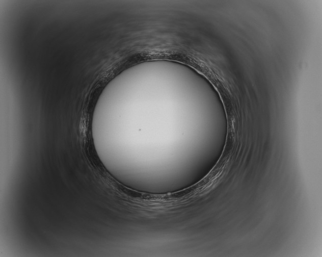 X0000099511300200805151002